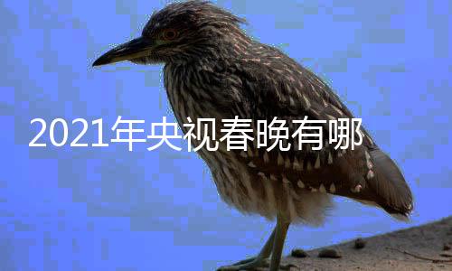 亮点年央哪些年春晚有晚看点介央视春视牛绍